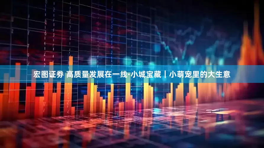宏图证劵 高质量发展在一线·小城宝藏｜小萌宠里的大生意