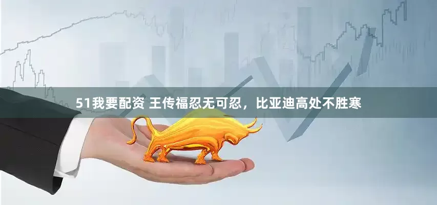 51我要配资 王传福忍无可忍，比亚迪高处不胜寒