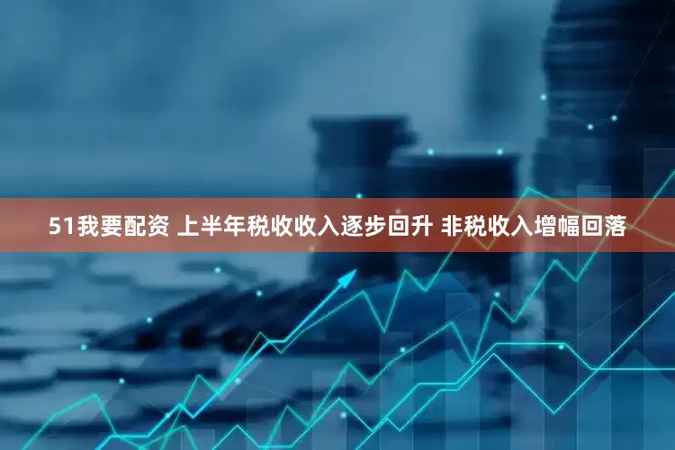 51我要配资 上半年税收收入逐步回升 非税收入增幅回落